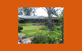 Bearded-Dragon-Beaudesert-Accommodation Thumbnail